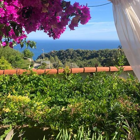 Villa D'Arte Mortola Superiore Eksteriør bilde