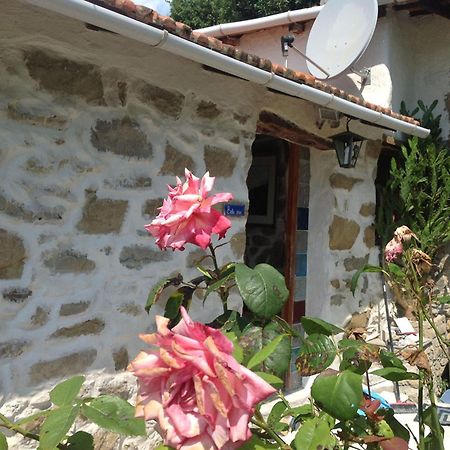Villa D'Arte Mortola Superiore Rom bilde