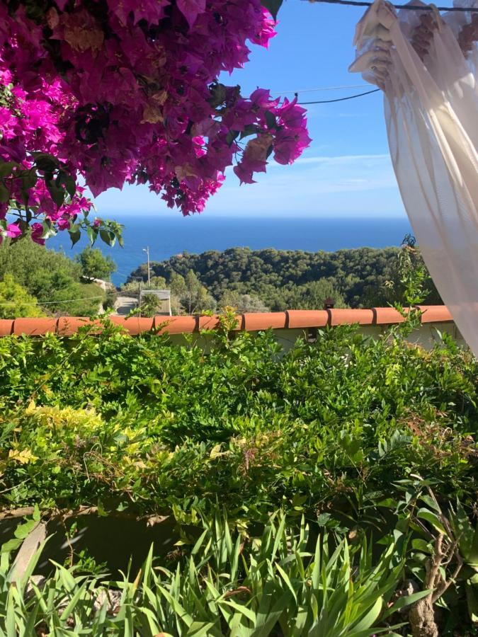 Villa D'Arte Mortola Superiore Eksteriør bilde