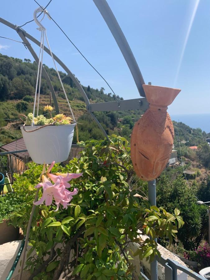 Villa D'Arte Mortola Superiore Eksteriør bilde