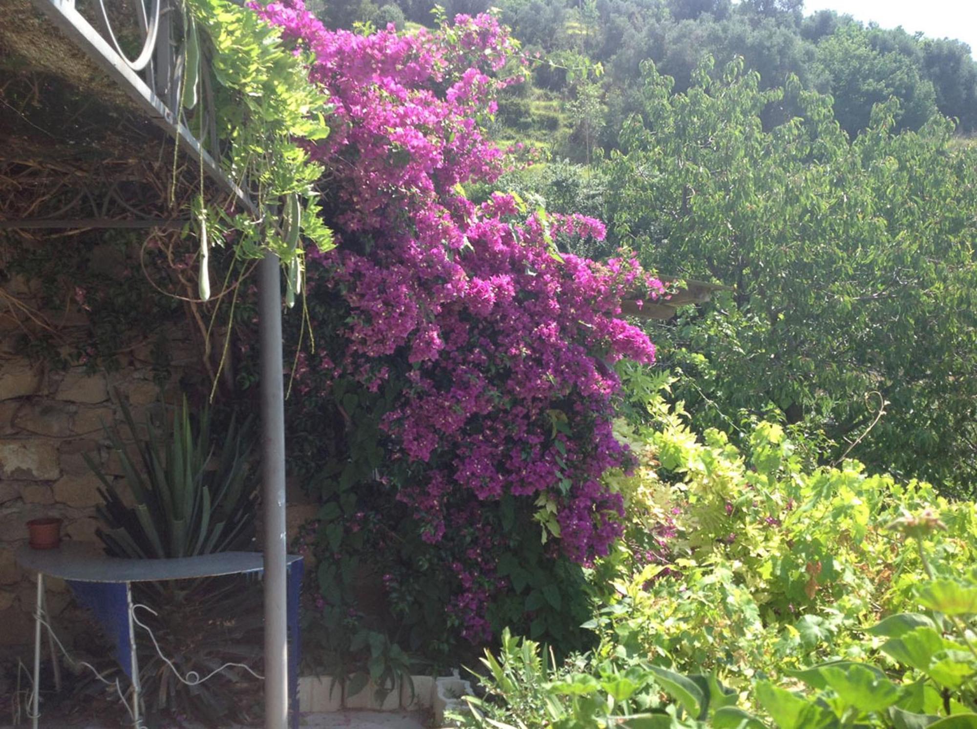 Villa D'Arte Mortola Superiore Rom bilde