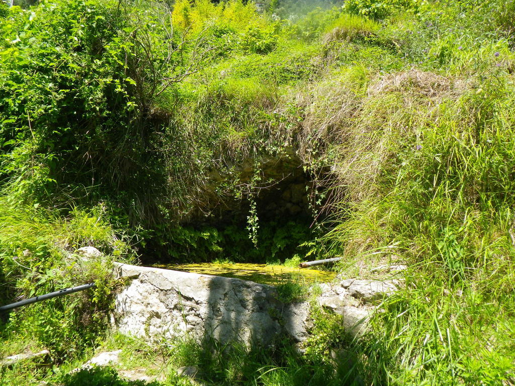Villa D'Arte Mortola Superiore Rom bilde