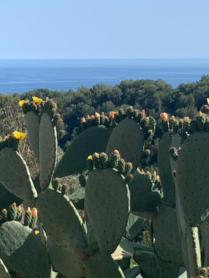 Villa D'Arte Mortola Superiore Eksteriør bilde